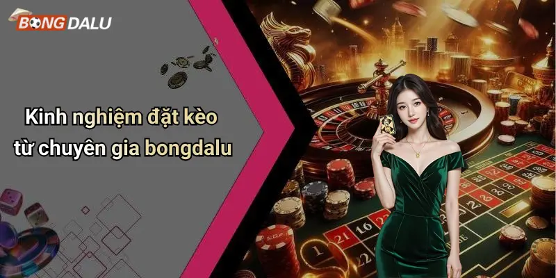 Kinh nghiệm đặt kèo từ chuyên gia bongdalu