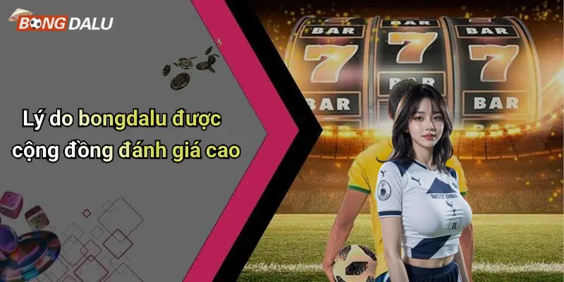 Lý do bongdalu được cộng đồng đánh giá cao