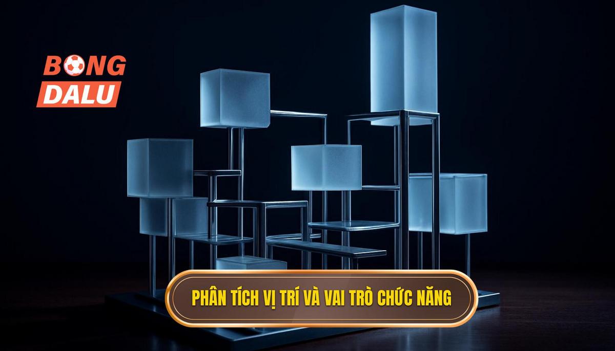 Phân tích Vị trí và Vai trò Chức năng